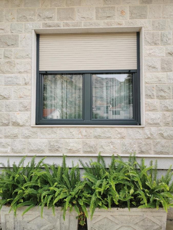 Apartment Benvenuti Kotor Exteriör bild