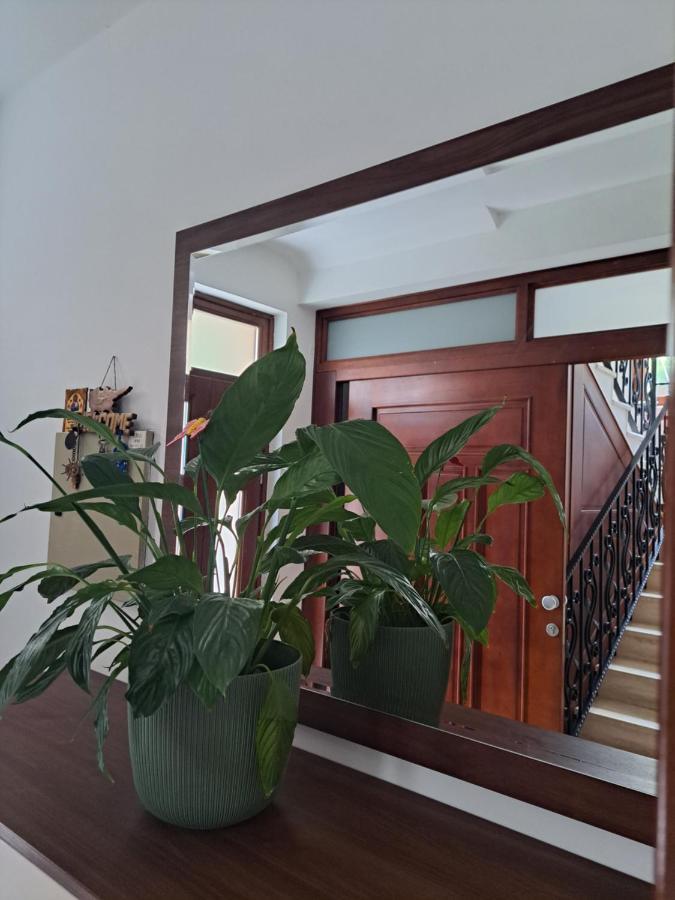 Apartment Benvenuti Kotor Exteriör bild