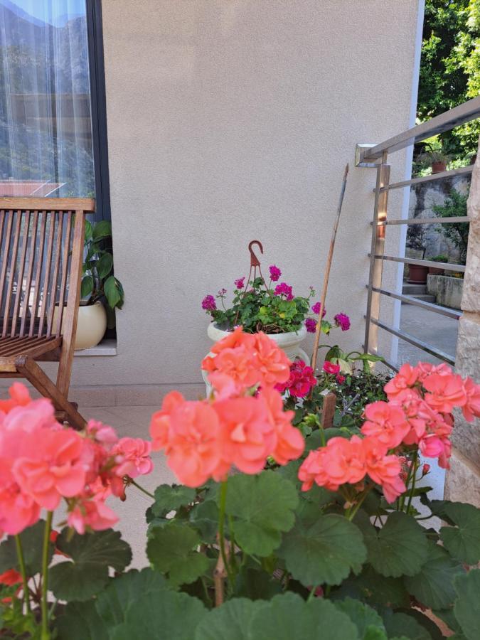 Apartment Benvenuti Kotor Exteriör bild